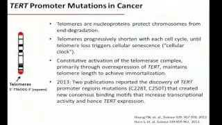 Molecular Influence in Thyroid Cancer – Role of Molecular Markers