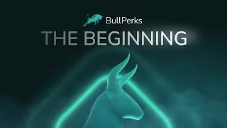 BullPerks &mdash; Площадка токенсейлов &mdash; Обзор часть 1