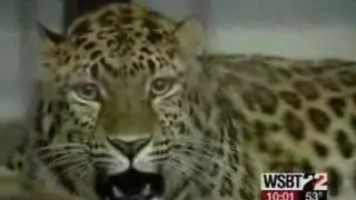 WSBT News 5/24/08