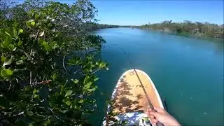 PADDLE BOARD FISHING EXPLORING THE FLORIDA KEYS