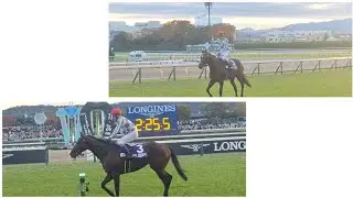 2024/11/24 東京競馬場 東京12R ジャパンカップ ゴール板前 1着 ドウデュース