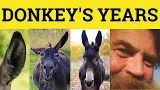 🔵 I Haven't See You in Donkey's Years - Donkey's Years Meaning - Donkey's Years Defined - Idioms