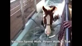 AquaTred Low-Impact Fitness