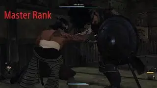Rise of the Ronin: Dojo Master Rank