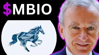 MBIO Stock IS CRAZY! (Mustang Bio stock) best stock trading broker