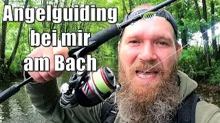 Angelguiding bei mir am Bach | Termine frei | Ultralight auf wilde Forellen