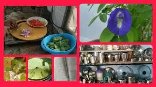 kitchen organization ideas in tamil || avaraikka sambar recipe || sangu poo  || Renus vlog in tamil