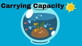 Ecological Carrying Capacity