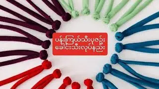 ပန်းကြယ်သီးအပိုင်း - ၁