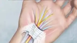 Ergonomic Vertical Mouse
