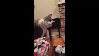 Potato's straw obsession.