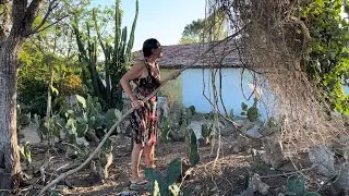 MAIS UMA COLHEITA DE MARACUJÁ 