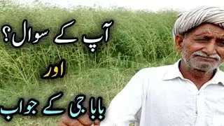 Important question #goat #Baba Mehnga Gujjar 