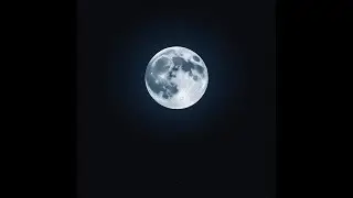 Lonely Moon