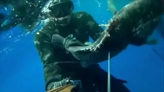 Pescasub: agguato al cernione (10 kg)