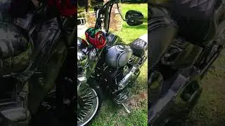 #viclas #harleydavidson