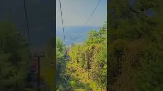 #muree #travel