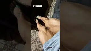 Crazy Quads! | Julia Caceres