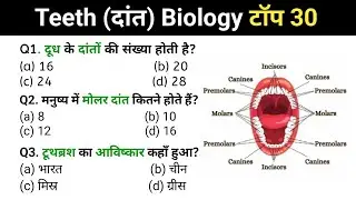 मानव दांत | Human Teeth | one liner question | gk&gs