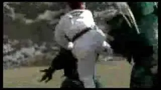 TKD Team Force Trailer