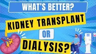 Kidney Transplant vs. Dialysis: Making the Life-Changing Decision 🫀