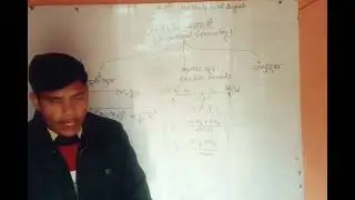 निर्देशांक ज्यामिति संक्षिप्त परिचय एवं महत्वपूर्णप्रश्न