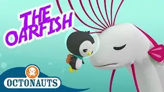 Octonauts - The Oarfish | Full Episode | Cartoons for Kids