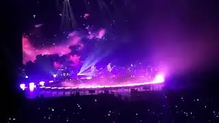 [BEAUTY AND THE BEAST] The Rose (Dawn to Dusk in Amsterdam 2024)