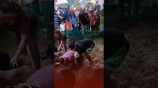 catch the pig ❌ catch the dog ✅