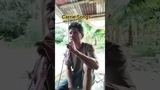 Carrie Songs 🎵🎼#coversong #music
