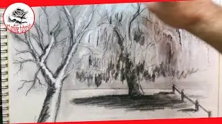 Drawing To Draw: Drawing Easy Trees With Charcoal Step by Step