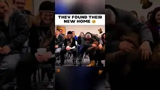 Dogs Choose Their Humans &mdash; Adoption Moments 🥹Part 1