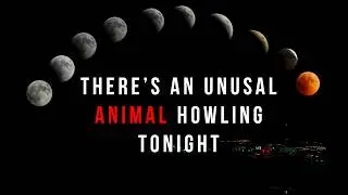 There's an Unusual Animal Howling Tonight | September Moon - Horror Story