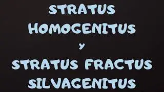 Factor humano. STRATUS HOMOGENITUS y SILVAGENITUS. Nubes en time lapse.