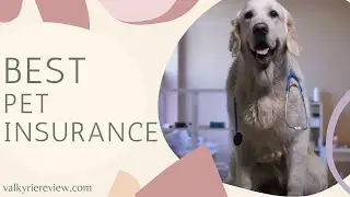 Best Pet Insurance for dogs and cats