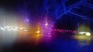 Bluebell Railway Steamlights 2025 Iarnrod Coinnle Corra Galsolasi 