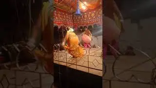 sambalpuri  danda nurty   2021halanbhata