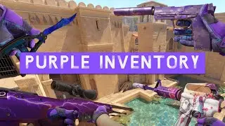 EVERY Skin You Might Need For A PURPLE Inventory