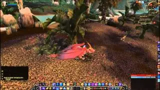 Salvaging Life's Strength Quest - World of Warcraft