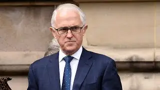 Malcolm Turnbull wants to be able to &lsquo;call himself a martyr&rsquo; of the Liberal Party