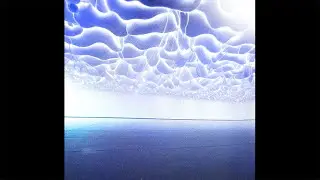 [FREE] Dante YN x Pashanim Type Beat - 