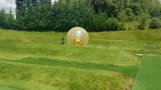 MLebo Zorber 20231123