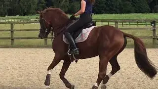 SF DETROIT - FINAL TRAINING - HERRINGSWELL