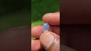 #ceylongems#gemstone#youngsilki#pabasaragems#gemcity💎#viral#onemilionviews#rathnapura#trending
