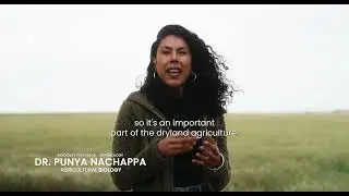 Dr. Punya Nachappa - Associate Professor, Agricultural Biology