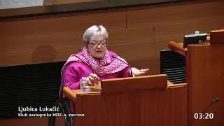 28 1 2026 - 2. dio, 9. sjednica Hrvatskoga sabora, 11. saziv