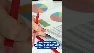 Expert Audit and Assurance Services for Businesses|Best Audit Services for Businesses