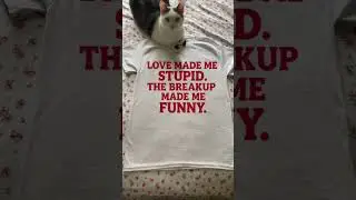 Love Made Me Stupid, Breakup Made Me Funny &ndash; Funny Shirts
