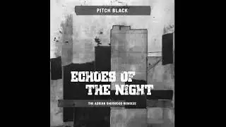Pitch Black - Third Light (Adrian Sherwood's Dub Mix)