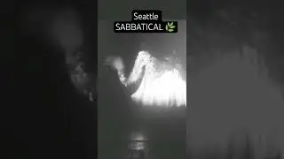 Seattle SABBATICAL 🌿 Black Sabbath ☠️ Live 1975 📼📺